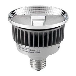 LED Lamp, PAR30, 530L, 15W, 2800K   Led Household Light Bulbs  