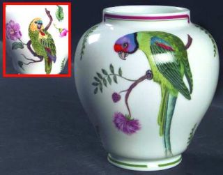 Lynn Chase Parrots Of Paradise Ginger Vase, Fine China Dinnerware   Parrots, Whi