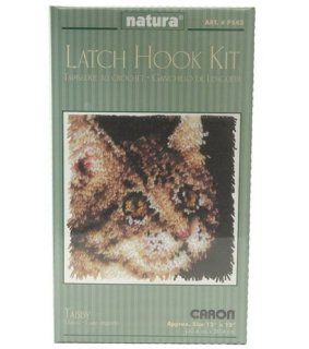 Natura P543 12 Inch by 12 Inch Latch Hook Kit, Tabby