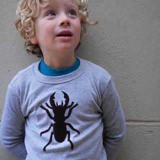 stag beetle children's t shirt by littlechook personalised childrens clothing