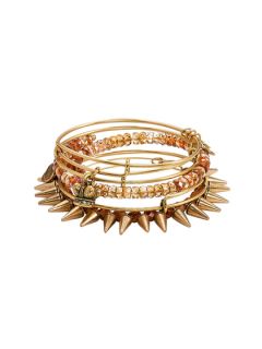 Set of 5 Kings Crown & Spike Charm Bangle Bracelets by Alex & Ani