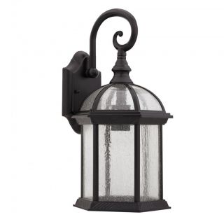 Transitional Dark Oil Rubbed Bronze 1 light Outdoor Lantern Fixture