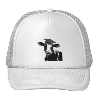 Congratulations Graduation Funny Cow in Cap Hats