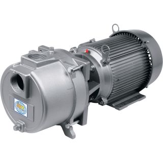IPT Sprinkler Booster Pump — 9480 GPH, 7.5 HP  Booster   Sprinkler Pumps