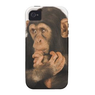 Chimpanzee (Pan troglodytes). Young playfull 2 Vibe iPhone 4 Case