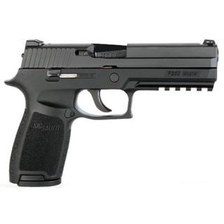 Sig Sauer P250 Full Size Handgun 721800
