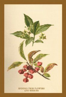 Buy Enlarge 0 587 17598 2P12x18 Spindle  Tree Flowers and Berries  Paper Size P12x18   Prints