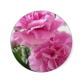 Pink Carnations 1 Round Stickers