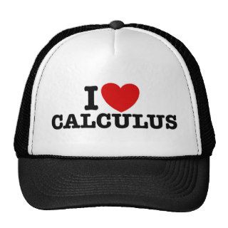 I Love Calculus Hat