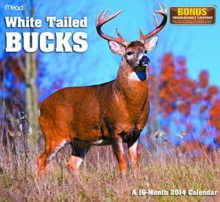 White Tailed Bucks 2014 Wall Calendar 