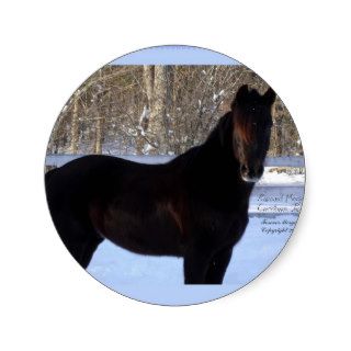 Black Horse in Snow Round Sticker