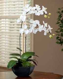 Vanda Silk Orchid   White   Artificial Mixed Flower Arrangements