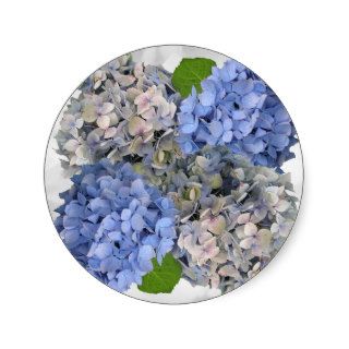 Blue Hydrangeas, "Dublin" Round Sticker