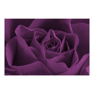 Purple Rose Gothic Poster