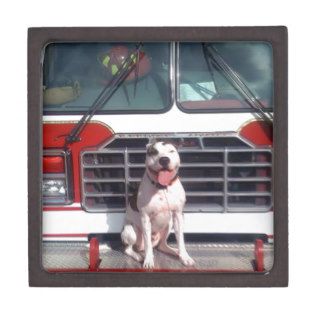 Fire House Dog Premium Trinket Boxes
