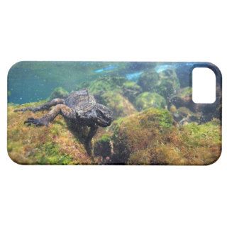 Marine iguana underwater Galapagos Islands iPhone 5 Covers