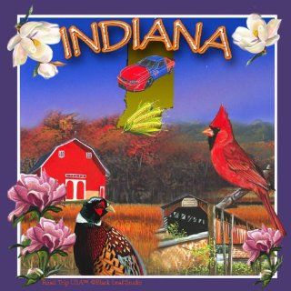 CoasterStone SQ029 Absorbent Coasters, 4 1/4 Inch, "Indiana", Set of 4 Kitchen & Dining