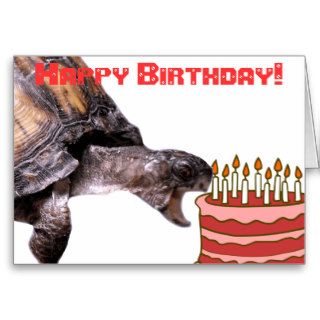 Nom Turtle Happy Birthday Greeting Card