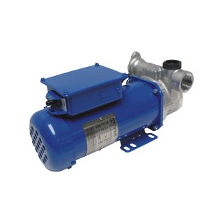 Fill-Rite 115 Volt DEF Transfer Pump — 8 GPM, 3/4 in. BSPP Inlet and Outlet, Model# FRSA120800MN  DEF AC Powered Pumps   Systems