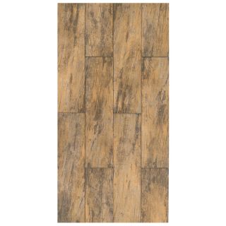 Interceramic 11 Pack Forestland Maple Glazed Porcelain Floor Tile (Common 6 in x 24 in; Actual 5.91 in x 23.63 in)