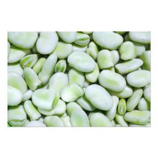 Fresh fava beans photographic print