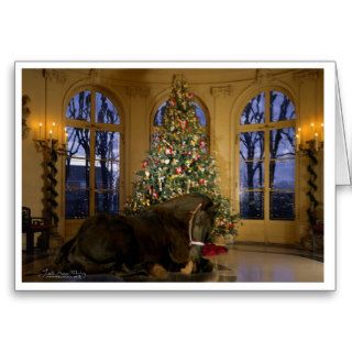 Friesian mare under tree holiday card
