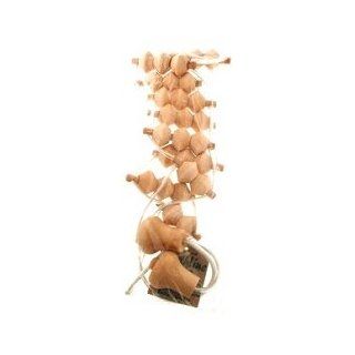 New England/Earthline   Wooden Back Massager 620   Massagers Relaxing & Energizing  Beauty Tools And Accessories  Beauty