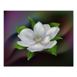 Magnolia Flower Print