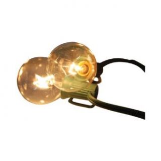 Sienna 9' Total Length Clear G40 Globe Light Set 622gr111   Led Household Light Bulbs  