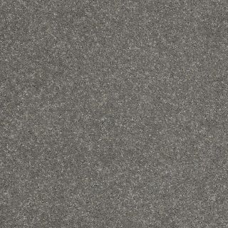 STAINMASTER Trusoft Luscious IV Slate Textured Indoor Carpet