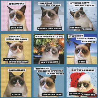 Grumpy Cat 2014 Wall Calendar
