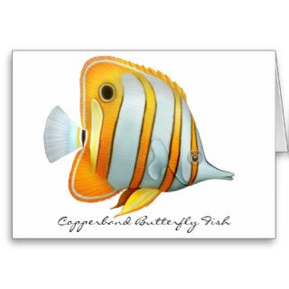 Coral Reef Copperband Butterfly Fish Card