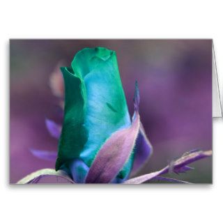 Turquoise Rosebud Flower Photography Card