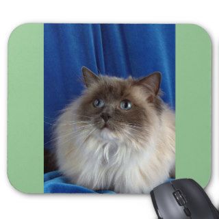 Ragdoll, blue point mouse pads
