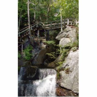 Wooden Bridge In The Forest Over Water And Rocks Photo Sculpture