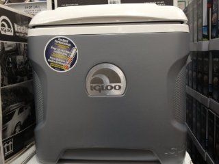 Igloo Portable 28 Quart Thermoelectric Iceless Cooler  Portable Refrigerator  Patio, Lawn & Garden
