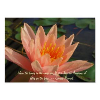 Beautiful Orange Water Lily Poster