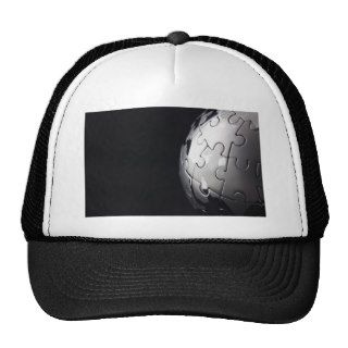 Chrome globe with black background trucker hats