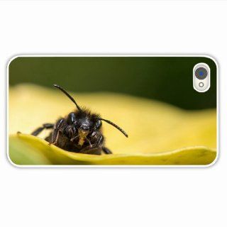 Design Iphone 4 4S Macro Grass Insect Fly Of Chrismas Gift White Cellphone Skin For Everyone Cell Phones & Accessories