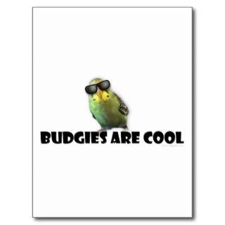 Budgies are Cool Postcards