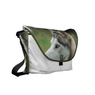 Alaskan Husky Messenger Bag