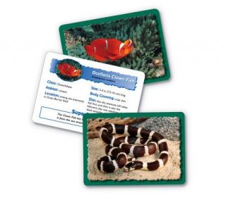 Animal Classifying Cards Combo Pack by LearningResources —