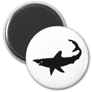 Shark ~ Sharks Great White Magnet