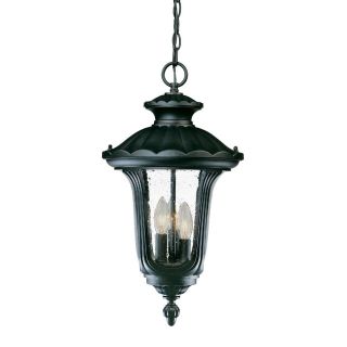 Augusta Collection Hanging Lantern 3 light Outdoor Matte Black Light Fixture