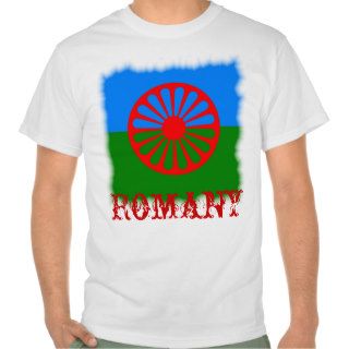 Official Romany gypsy flag T Shirt