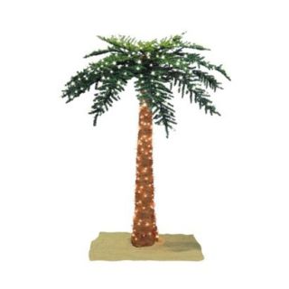 Lighted Royal Palm Tree   6