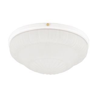 Hunter 2 Light White Ceiling Fan Light Kit with Frosted Rosette Glass or Shade
