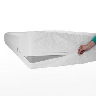 Remedy Waterproof Bed Bug Mattress Cover