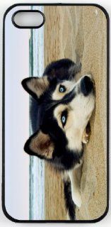 Rikki KnightTM Siberian Husky on Beach Design iPhone 5 & 5s Case Cover (Black Rubber with bumper protection) for Apple iPhone 5 & 5s Cell Phones & Accessories