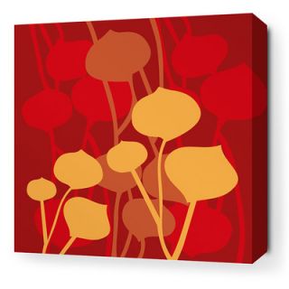 Inhabit Aequorea Seedling Graphic Art on Canvas in Scarlet SEDSCSW Size 16 